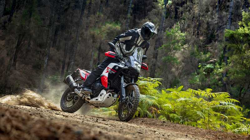 A motorcyclist in protective gear is leaning forward on a red and black adventure motorcycle, navigating a gravel trail surrounded by lush green ferns and tall trees. Dust is being kicked up from the rear wheel as the bike accelerates through the outdoors.