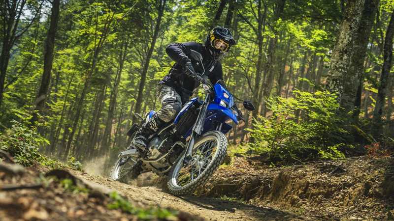 A rider in protective gear navigates a dirt path on a blue motorcycle, surrounded by lush greenery and trees in a sunlit forest. Dust is kicked up from the ground, indicating speed and motion.
